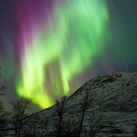 6 Person Holiday Home In Senjahopen Mefjordvær エクステリア 写真