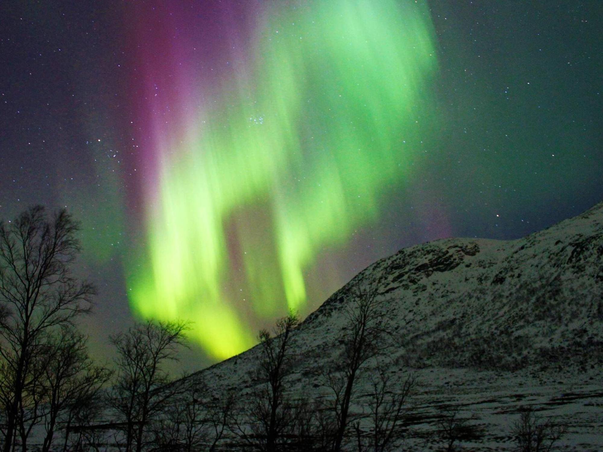 6 Person Holiday Home In Senjahopen Mefjordvær エクステリア 写真